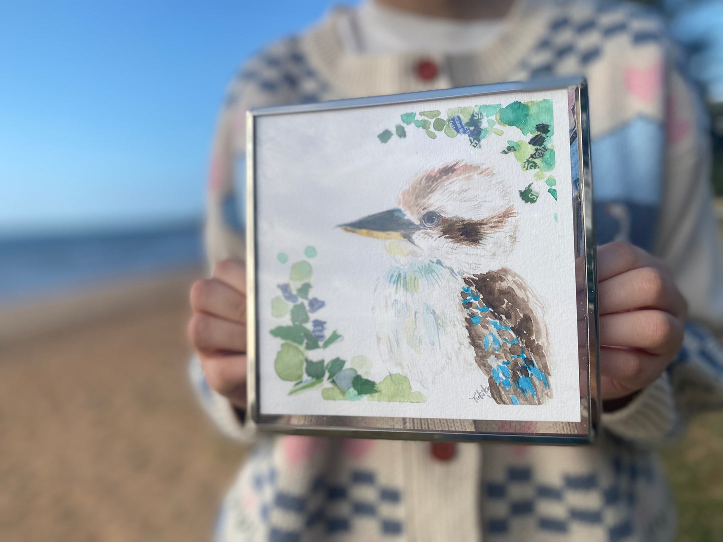 Kookaburra