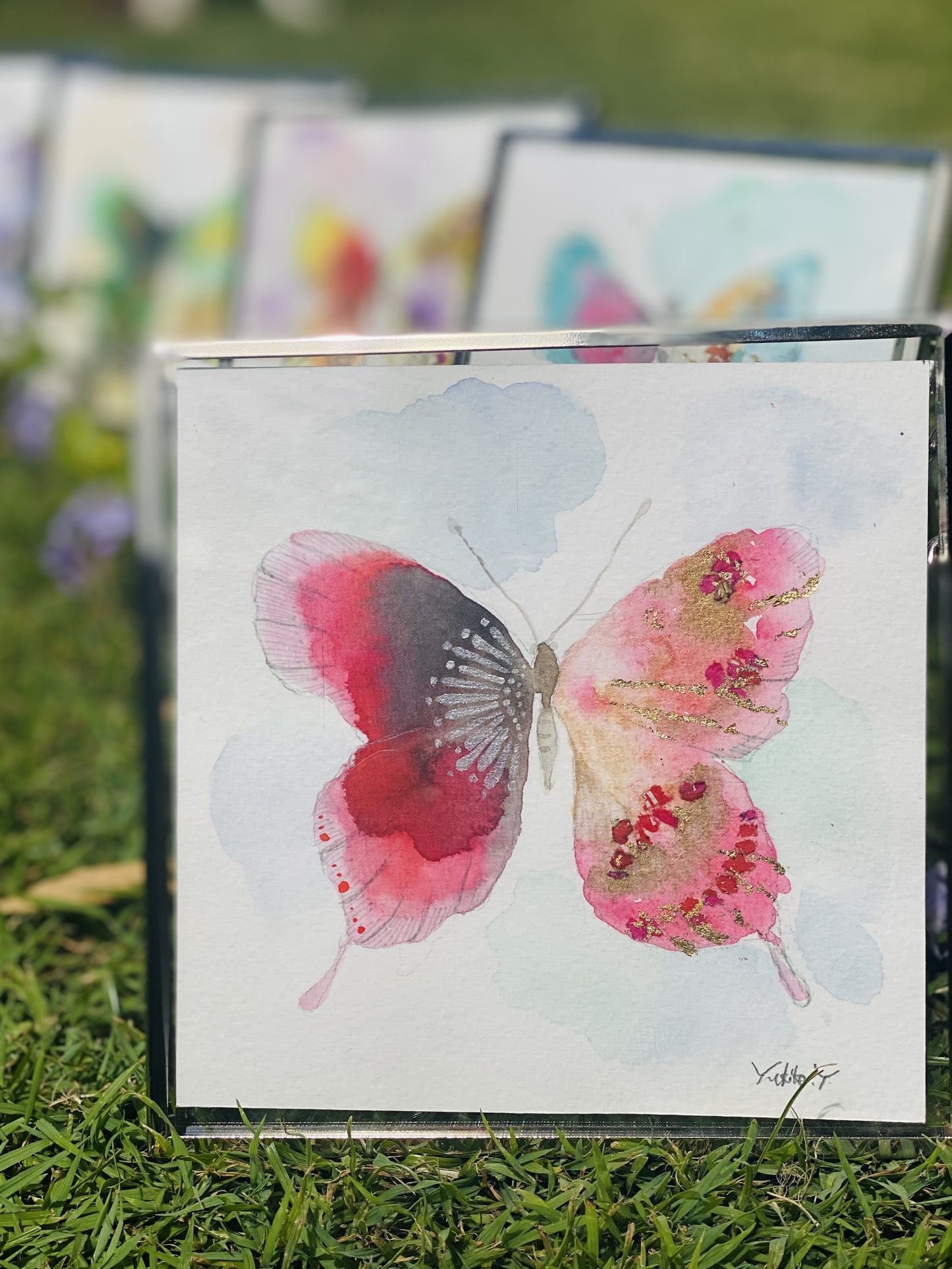 Butterfly A