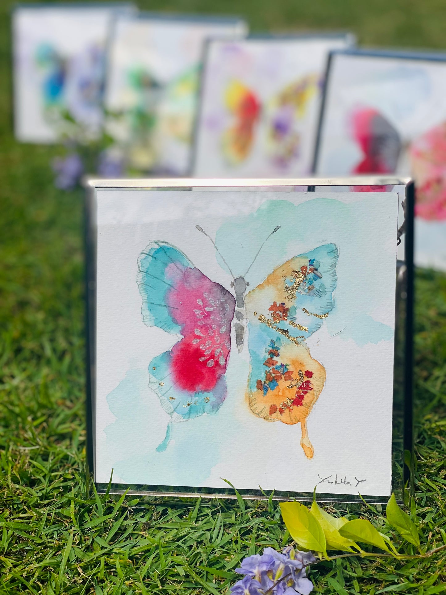Butterfly E