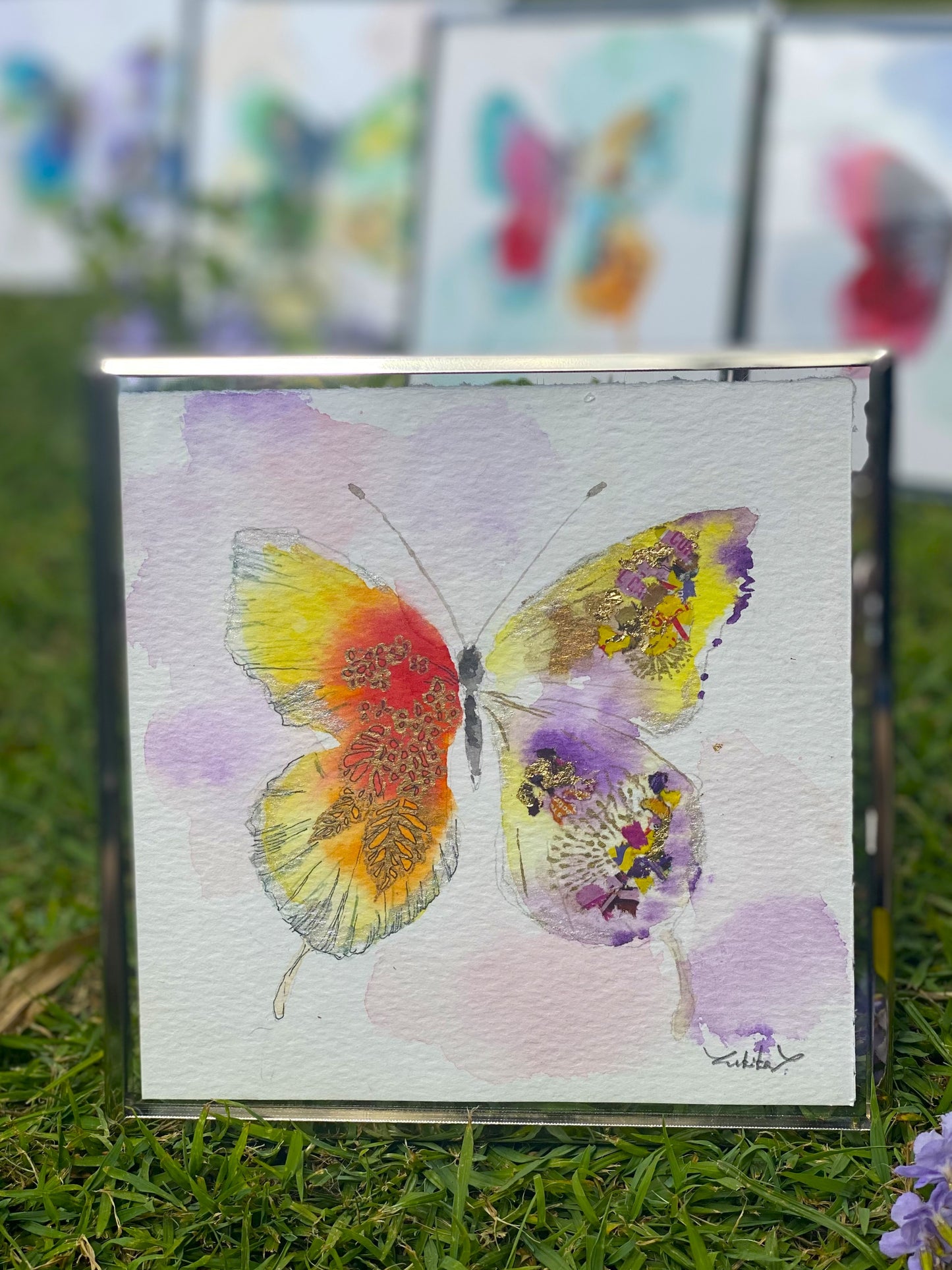 Butterfly D