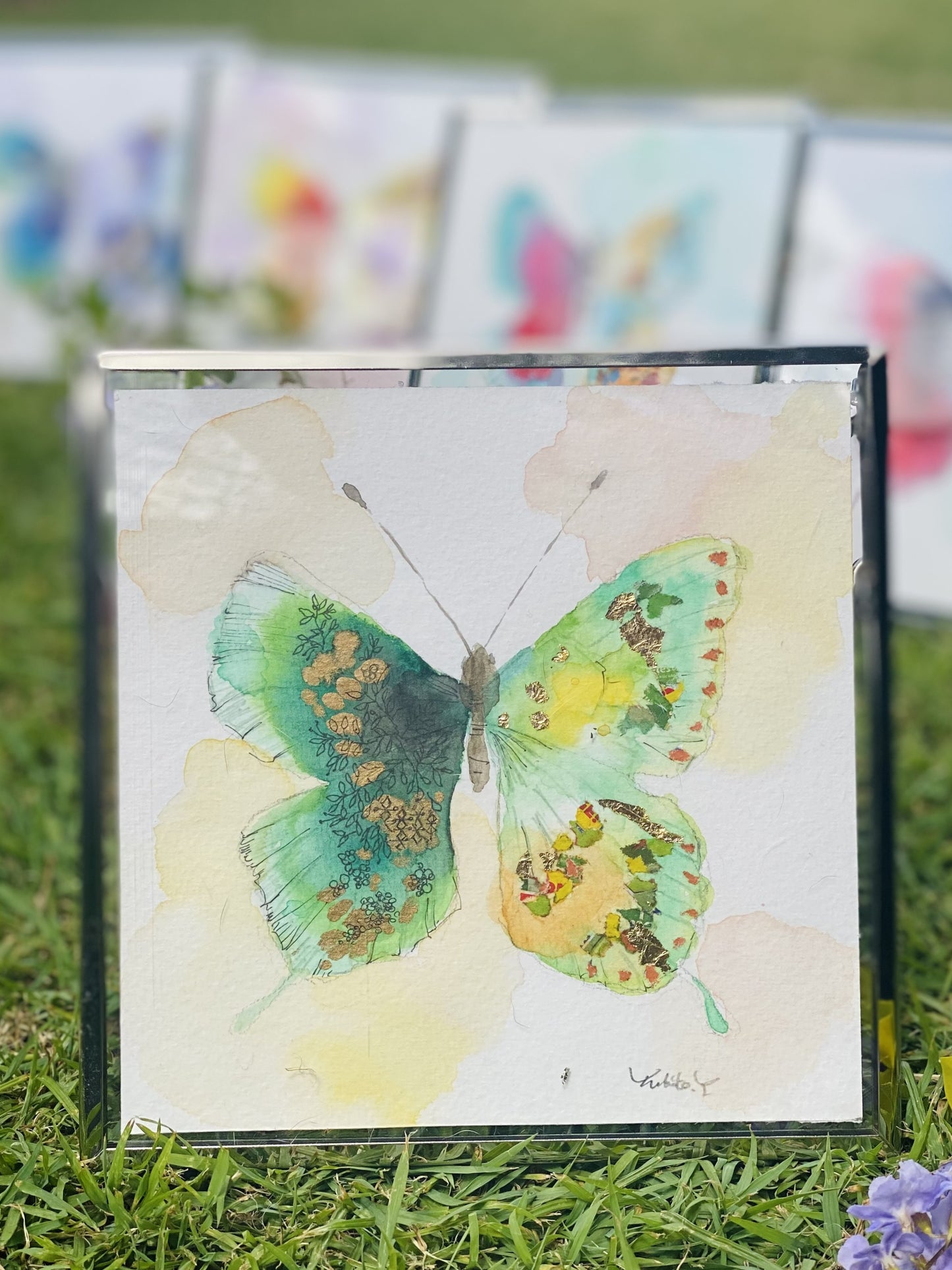 Butterfly C