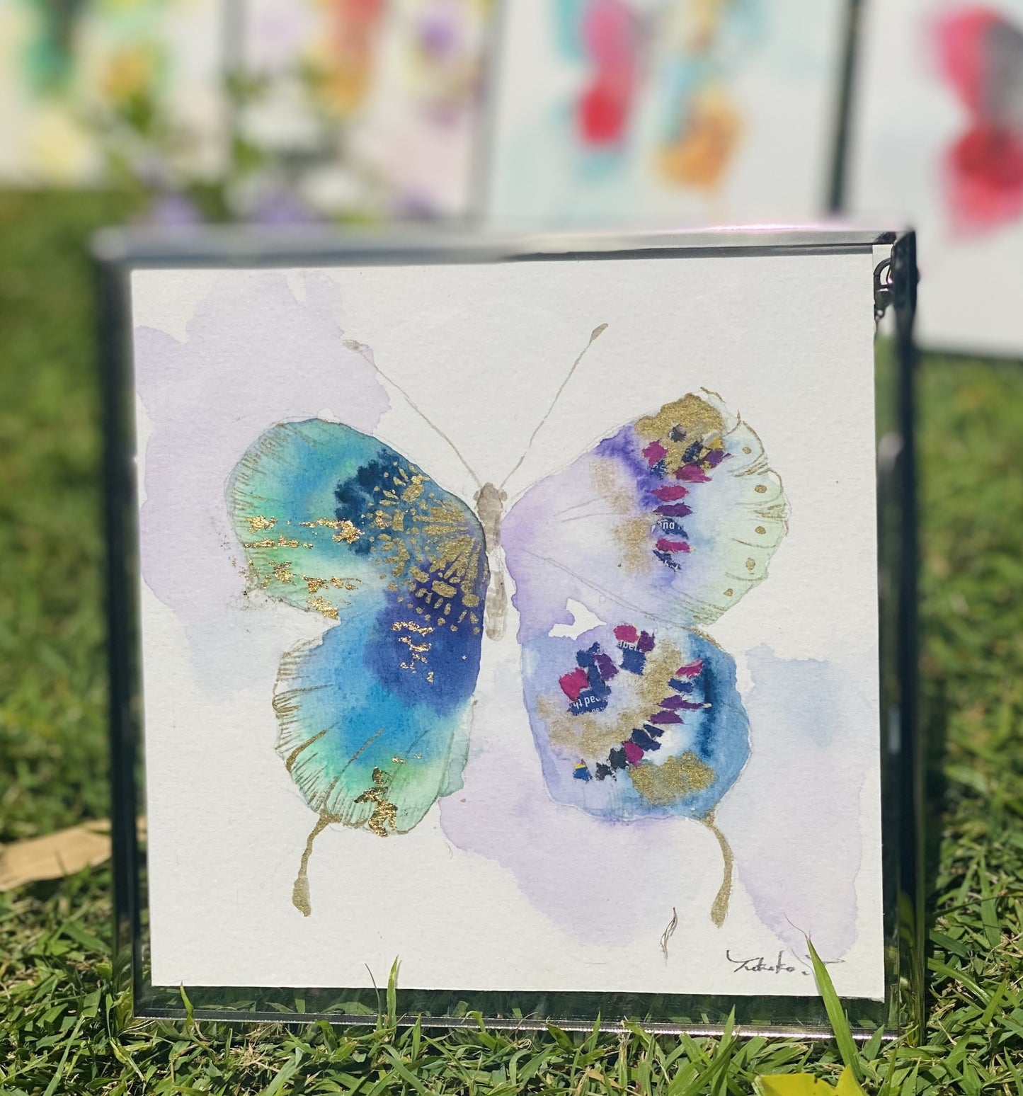 Butterfly B