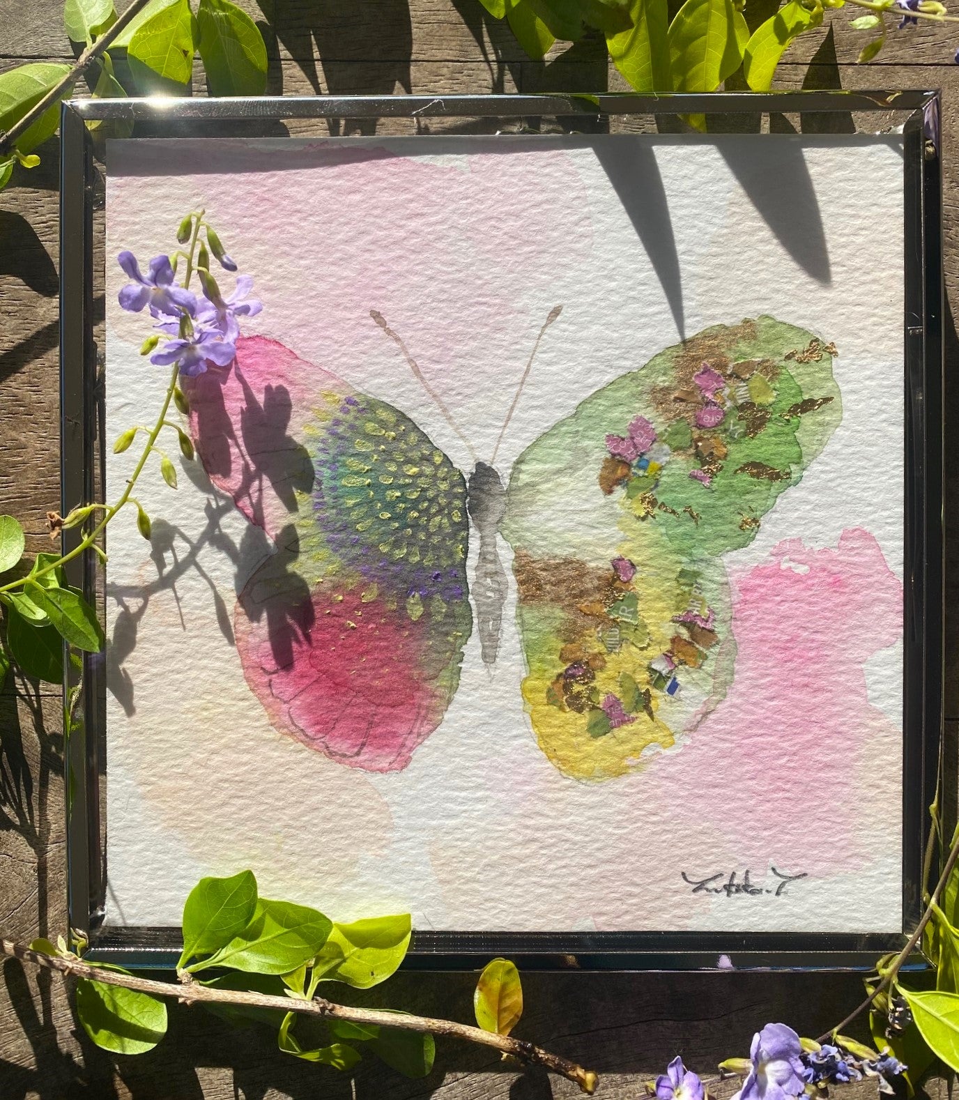 Butterfly F
