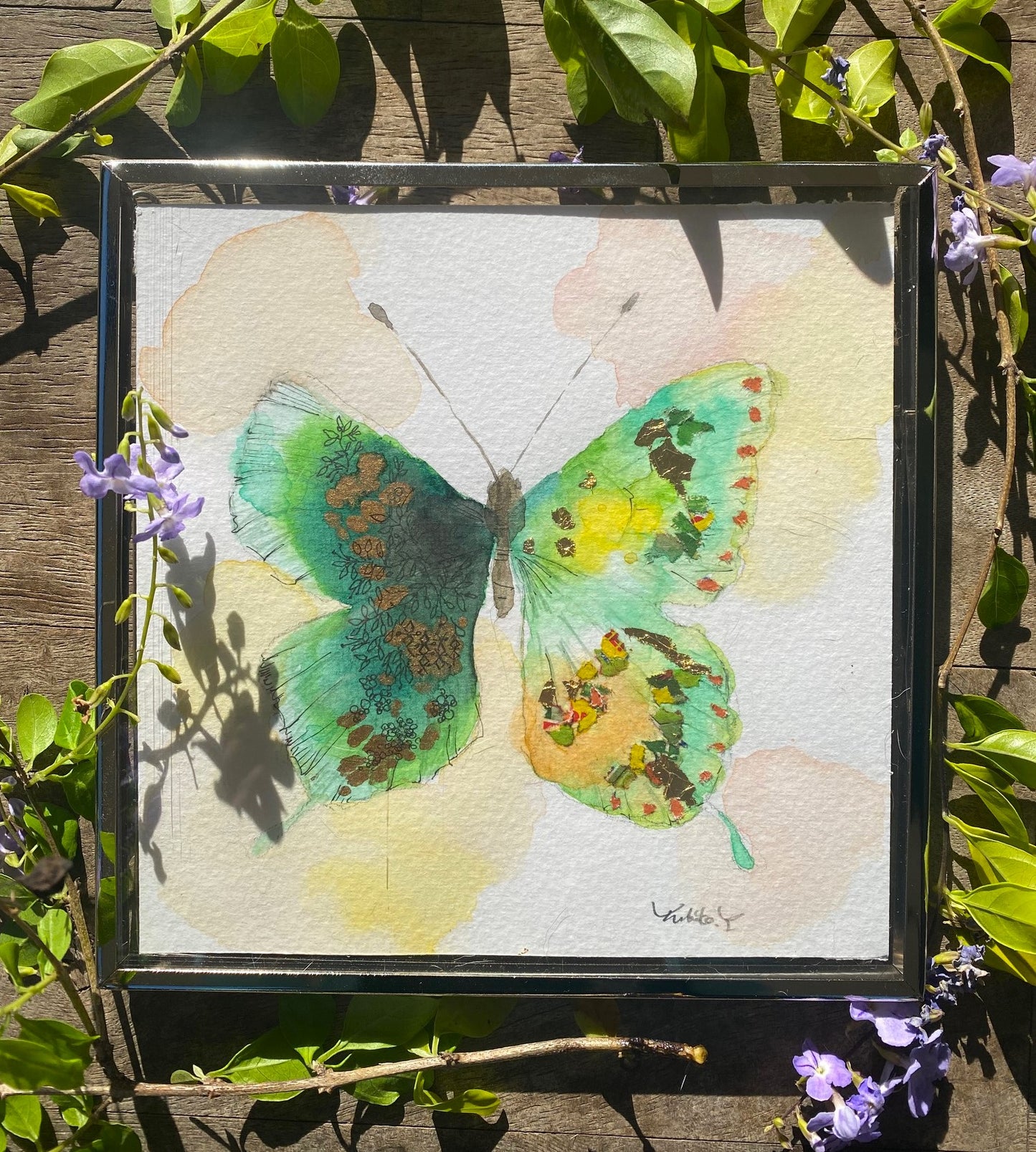 Butterfly C