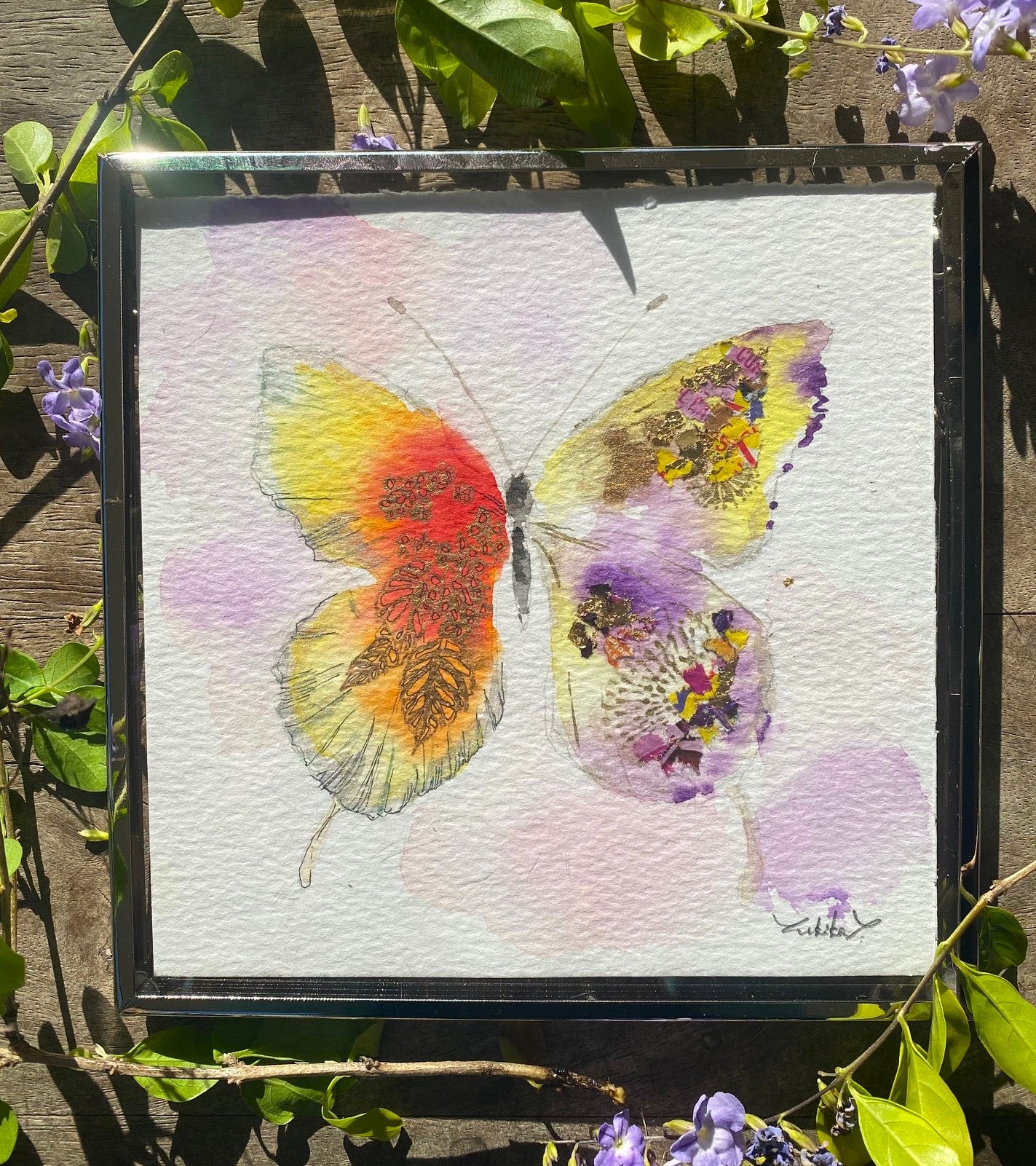 Butterfly D