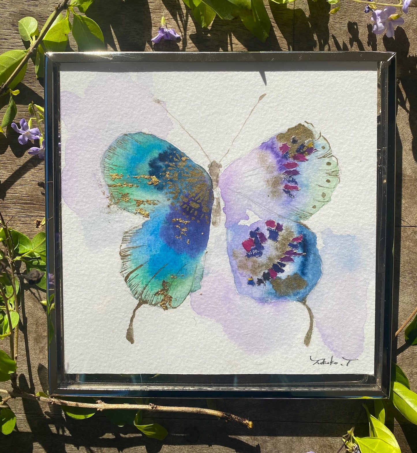 Butterfly B