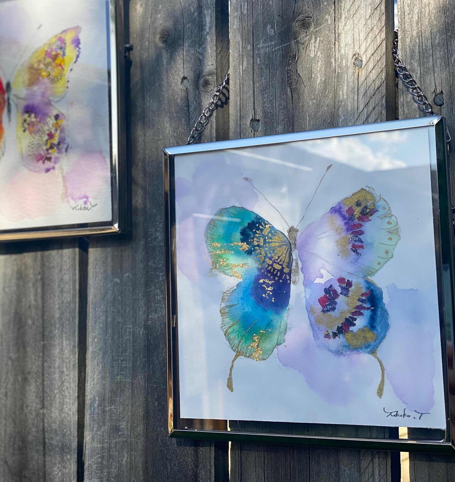 Butterfly B