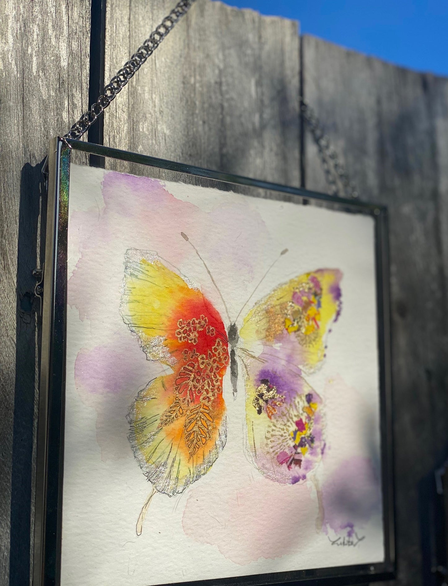 Butterfly D