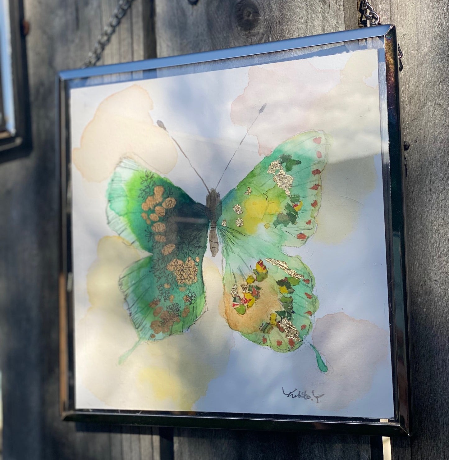 Butterfly C