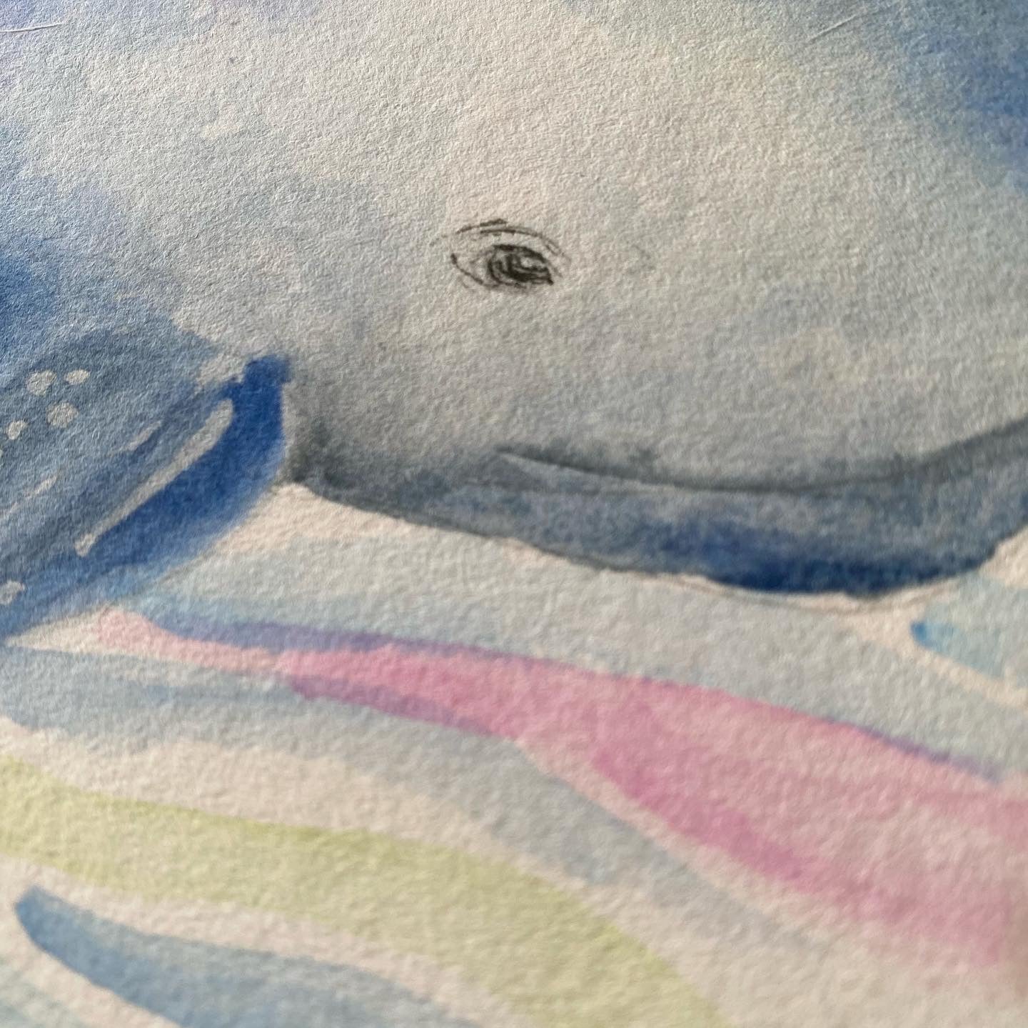 whales Art print