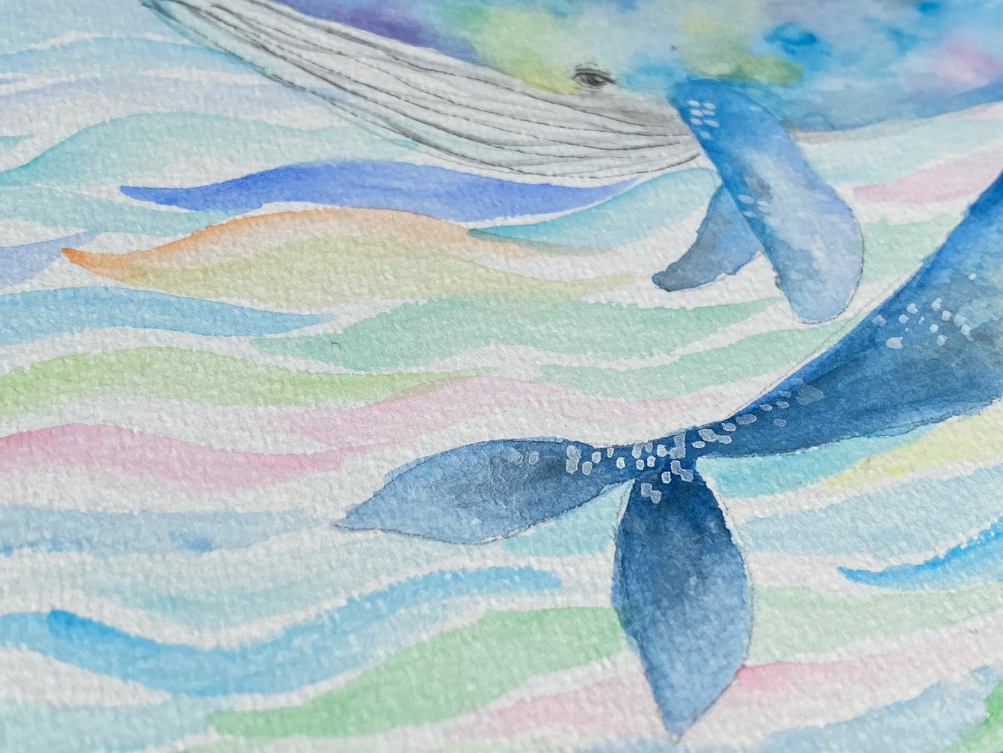 Whales Original