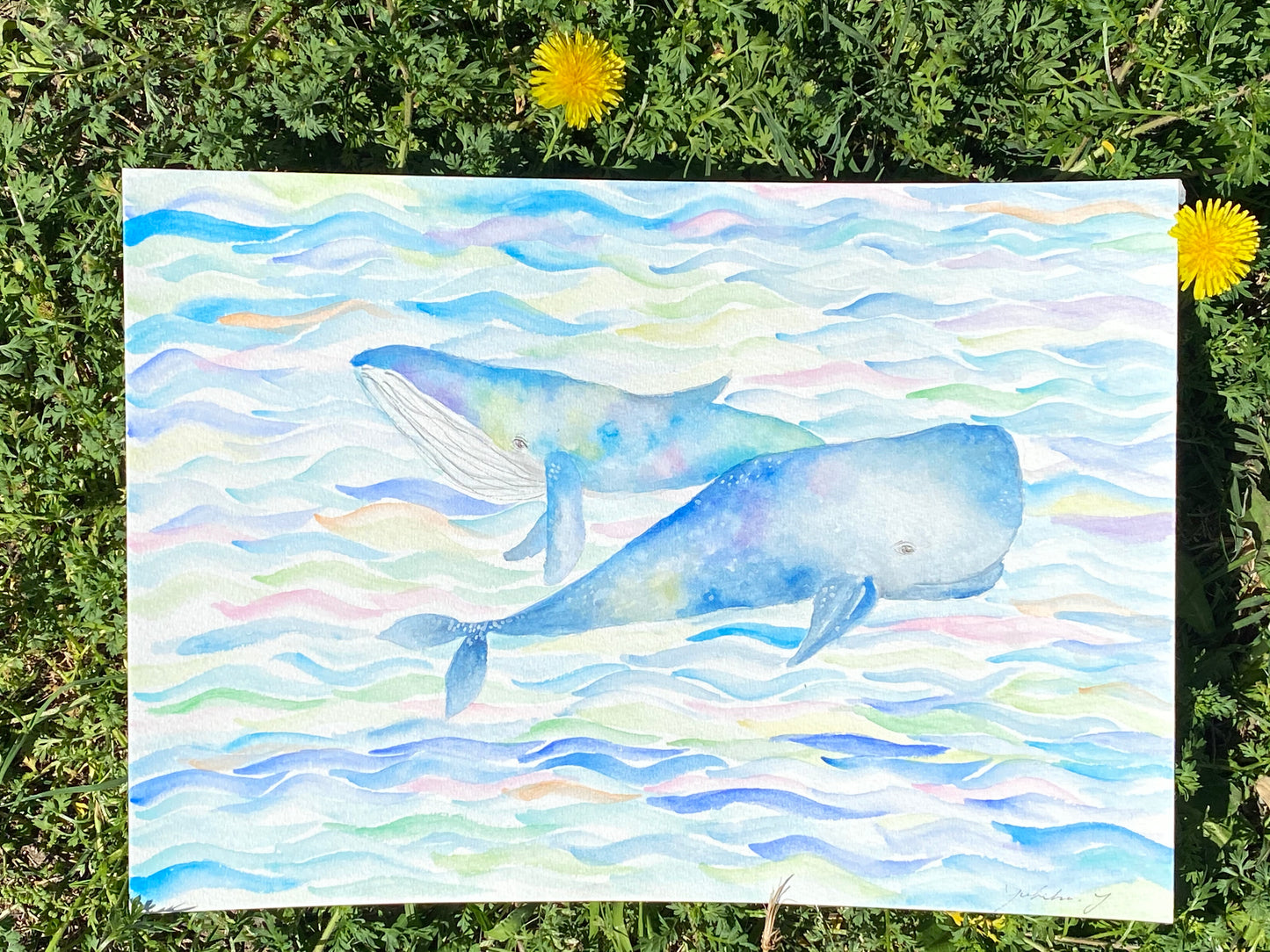 Whales Original