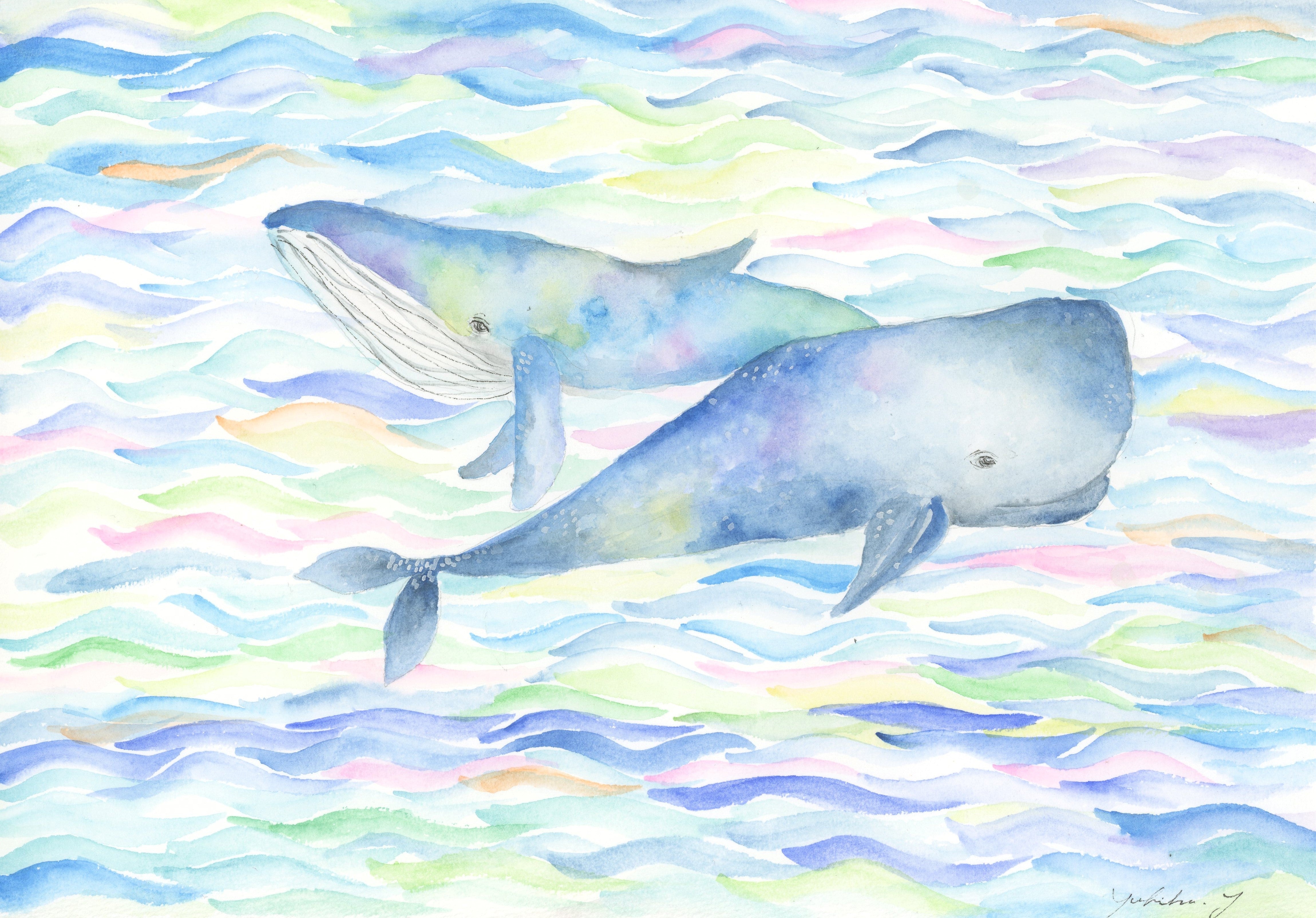whales  Art print