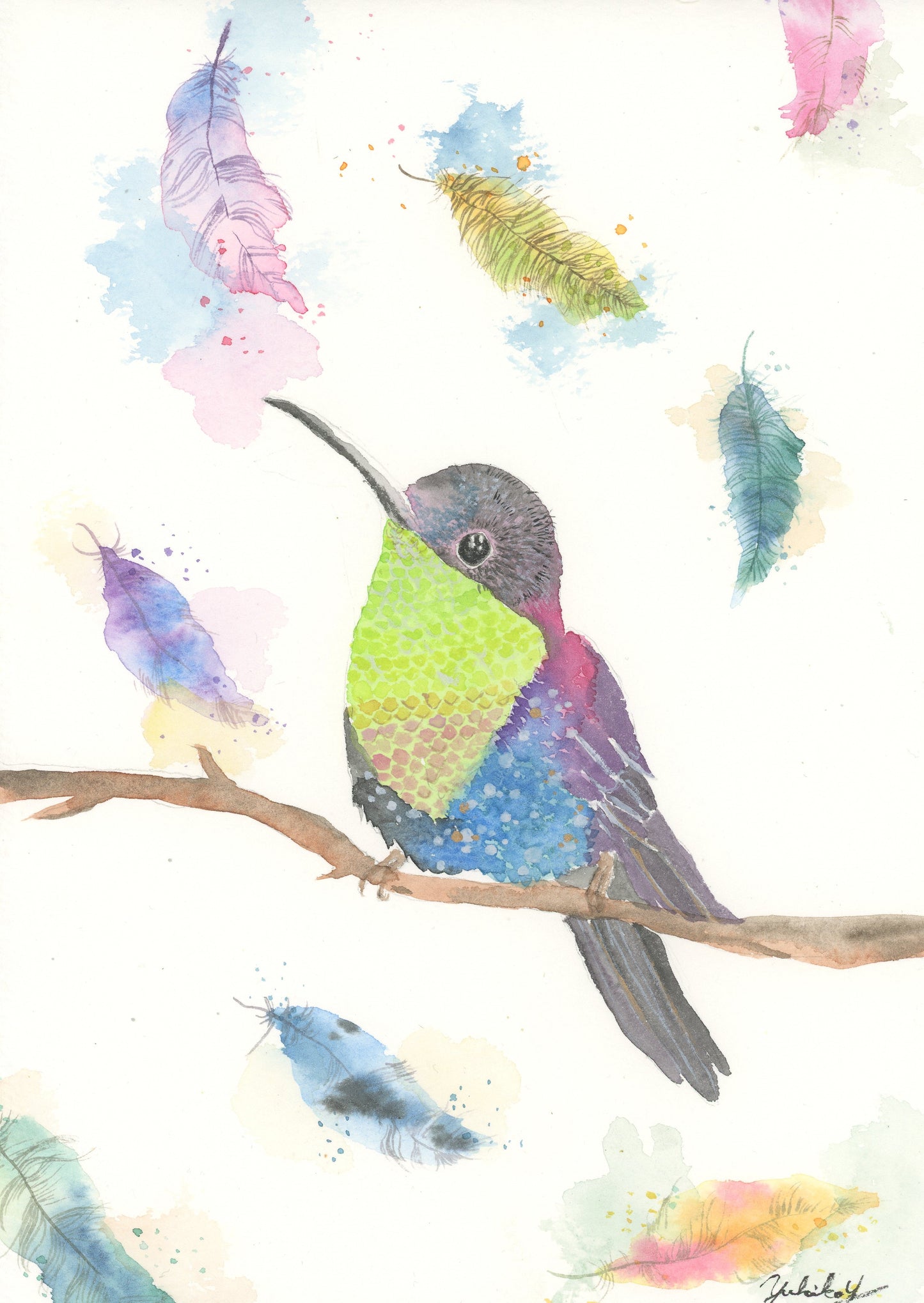 Hummingbird 羽